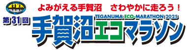 第31回手賀沼エコマラソン